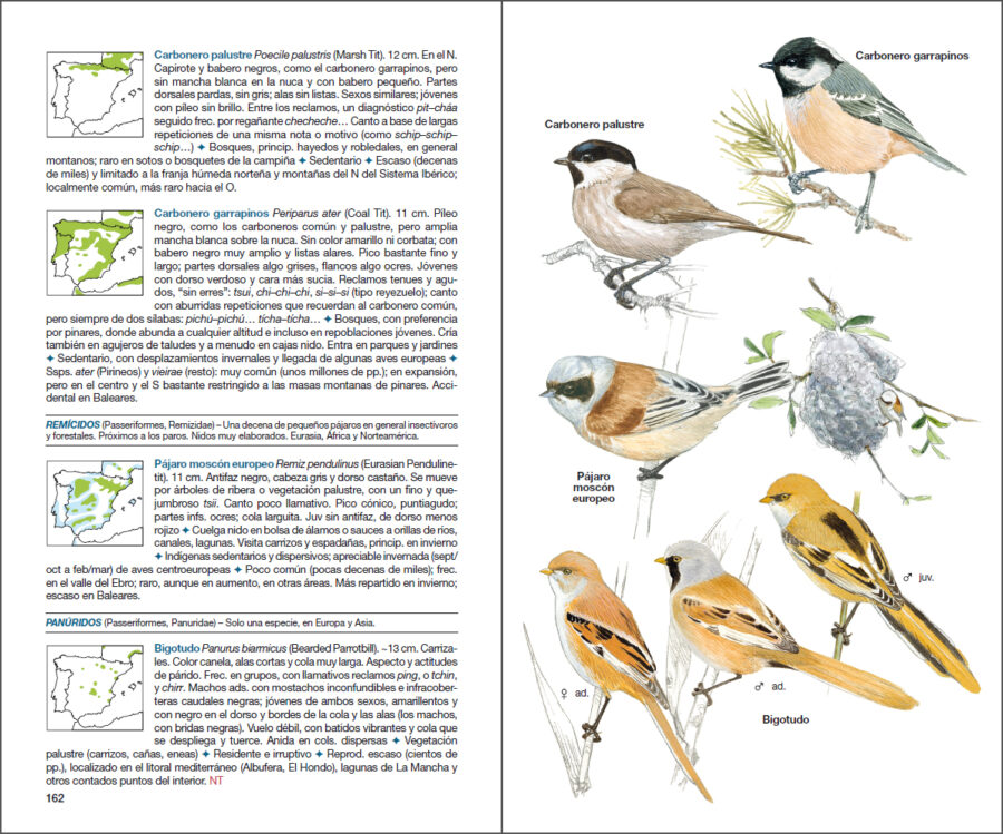 Página de muestra de Aves de España